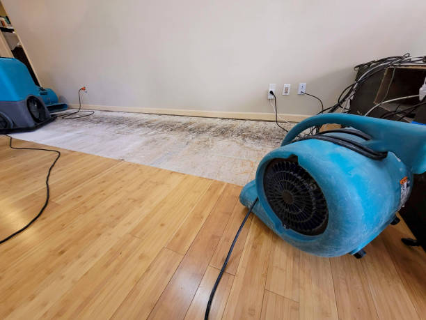 Professional Structural Drying technician working in Madison, WI